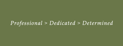 Professional, Dedicated, Determined